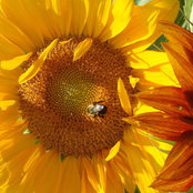 Sandra Glover's photo