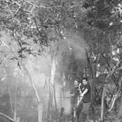 Angela Lang's photo