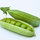 pettypeas