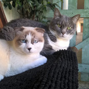 Margherita Delle Monache's photo