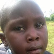 Peter Halwenge's photo