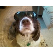 Trina Embly's photo
