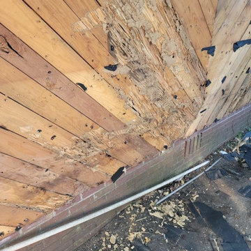 Termite Damage Is at it Again