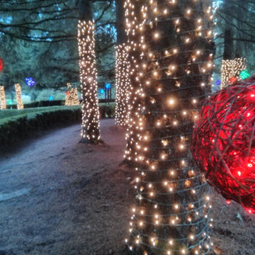 Holiday Light in Woodinville