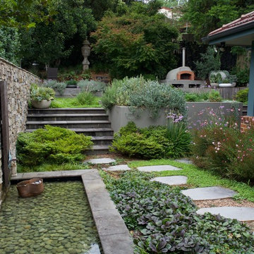 Lane Cove lifestlye garden: house renovation, pizza over, vertical garden