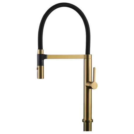 Maestrobath Dazzle Modern Kitchen Faucet With 2 Jets, Brushed Gold