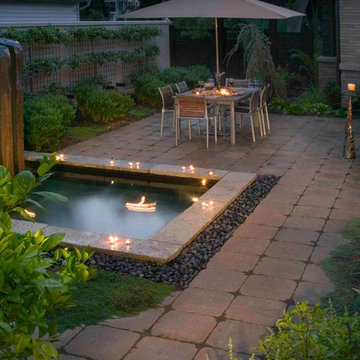 Fusion Garden
