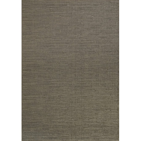 Coastal Grey Area Rug, 3'11"x5'7"