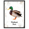 Mallard Duck Bird Canvas Print, 13"x17"