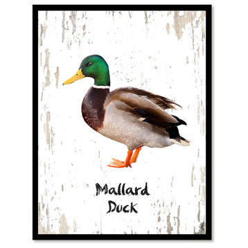 Mallard Duck Bird Canvas Print, 22"x29"