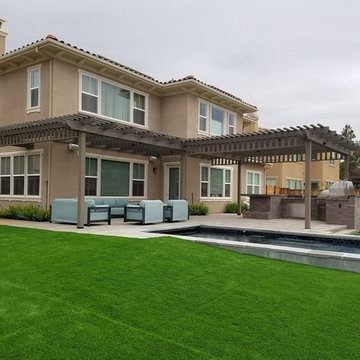 Brand New Landscape