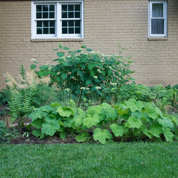 Front & Backyard Garden