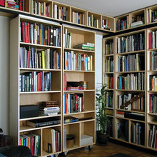 Basement Library Ideas