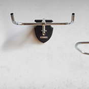Bicycle Taxidermy