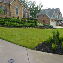 Front Yard Slope