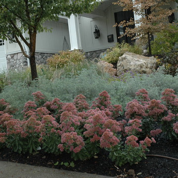 Above the Capitol Traditional Style Water Wise Yard