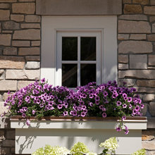 WINDOW PLANTER BOX IDEAS 2014