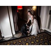 Freddie Pagani's photo