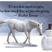 Heidi Webb Chapman Morrow's photo
