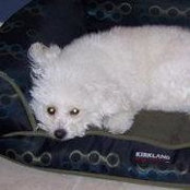 Linda Copple Macy's photo