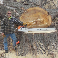 Matt's Tree Service