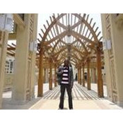 Oluwafemi Ogunrotimi's photo