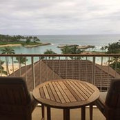 Mike Adocchio's photo