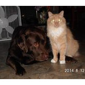 Foto von Anne Abear