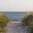 Michael J. Silva Architecture's profile photo
