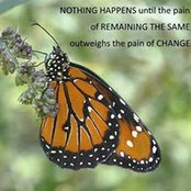 Judy Larkin's photo