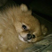 Millie Hope's photo