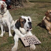 Malinda Colledge Collier's photo