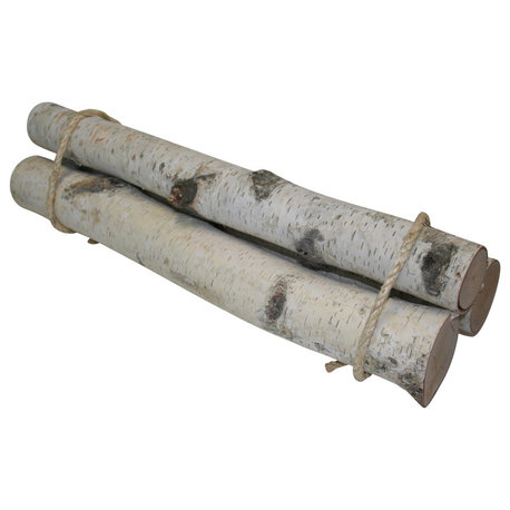 Roped Birch, 3 Pack