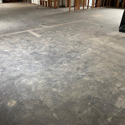 Before Pics - Flooring