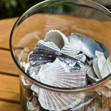 Decor-Shells