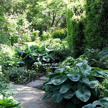 Garden Services & Lawn Maintenance