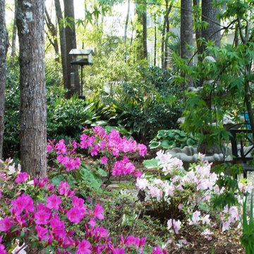Woodland Garden