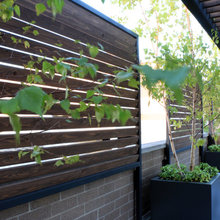 Rooftop Deck