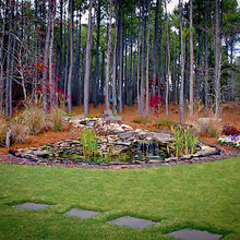 Coy Pond