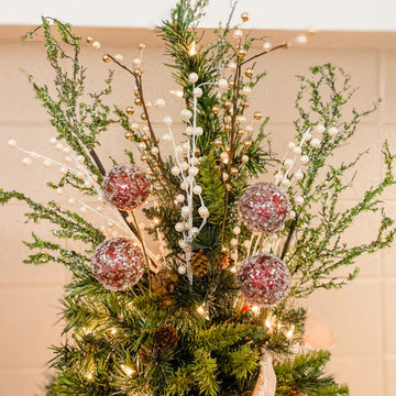 Draper Park Church Christmas Trees