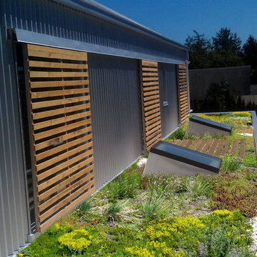 Birch Case Study House
