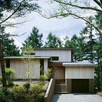 FOREST HOUSE