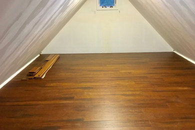 Attic Closet/Shelves