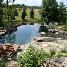 Natural swimming pond