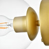 Living District Rogelio 1-Light Brass & Clear Bath Sconce
