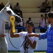 Zeid Nabulsi's photo