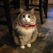 Nathan Zellner's photo