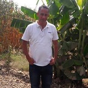 Khaled Radwan's photo