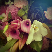 Rhoda C's photo