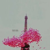 Shaima Merdan's photo